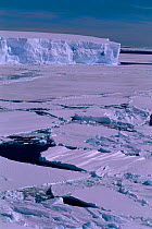 Pack ice with tabular iceberg. Cape Darley, Australian Antarctic Territory, Antarctica