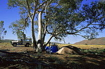 Simon King's camp whilst filming Dingos. Australia.
