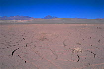 Cracks in dried mud, Atacama Desert, Chile, South America