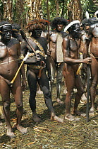 Dani men at dance, village near Wamena, Irian Jaya / West Papua, New Guinea Indonesia. 1991 Note penis gourds (West Papua).