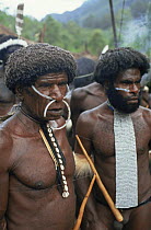 Dani men at dance, village near Wamena, Irian Jaya / West Papua, New Guinea Indonesia, 1991 (West Papua).