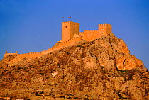 Spanish castle, Sax, Alicante, Spain, Europe