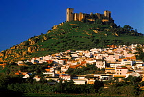 Almodovar del Rio Castle, 11th century, Cordoba, Spain, Europe