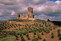 Belalcazar castle, 15th century, Cordoba, Spain, Europe