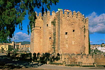 Calahorra Tower Fortress, Cordoba, Spain