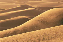 Sand dunes in  Namib desert, Walvis Bay, Namibia