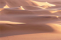 Sand dunes in the Namib desert. Walvis Bay, Namibia.