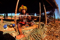 Kayapo Indian making a headress from macaw feathers. Brazil, South America  Ceremonial, cultures, people