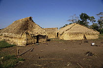 Kayapo Indian village with straw huts, Brazil.