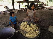 Quechua indian girl making chincha from manioc tubers. Ecuador