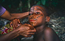Bambuti pygmy face painting with charcoal and plant juice, Epulu ituri rainforest reserve, Democratic Republic of Congo (formerly Zaire)