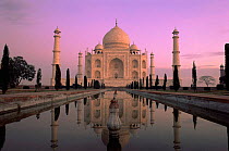 The world famous Taj Mahal at sunset, Agra, Uttar Pradesh, India