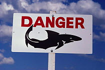 Shark warning sign on beach. Sydney, Australia.