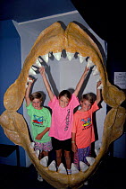 Children in jaws of Megalodon - prehistoric Great white shark relative,  Australia Model released.