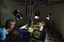 Alan Hayward filming in macro studio for "Galactic Gardens" Bristol Natural History Unit, 1985