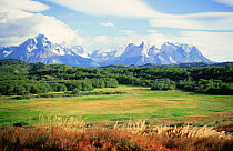 Paine Grande and Cuernos del Paine mountains, Torres del Paine NP, Chile, Patagonia, South America