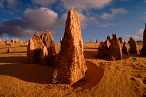 Pinnacles Desert, Nambung NP, Western Australia