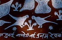 Wall painting showing Parakeets, Sawai Madhopur, Rajasthan, India