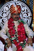 The bridegroom in traditional attire at a high society wedding in Rajastan, India
