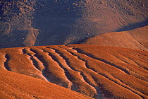 Atacama Desert, Chile, South America