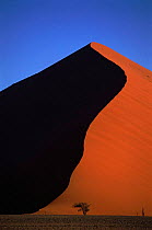 Sand dunes in Namib-Naukluft NP, Namib Desert, Namibia, Southern Africa