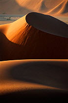 Sand dunes in the Namib-Naukluft NP, Namib Desert Namibia, Southern Africa