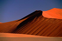 Giant sand dunes. Namib-Naukluft NP, Namib Desert, Namibia, Southern Africa