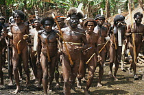 Papua New Guinea tribesmen with penis gourds, 1991.