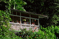 Viewing platform at Asa Wright Nature Centre, Trinidad, Caribbean, world famous not-for-profit ecolodge established in 1960s.