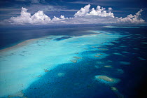 Aerial view of fringing coral reef, Palau, Micronesia