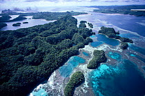 Aerial view of fringing coral reef, Palau, Micronesia.