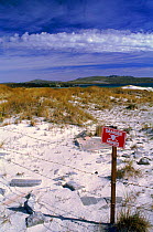 Surf bay with mine warning sign. East Falkland Island, Falkland Islands War