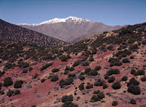 High Atlas mountains, Morocco, North-Africa