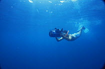 Tom Walmsley free diving and filming underwater in Arabian Gulf for Discovery Channel, 1996