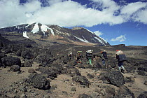 Climbing Kilimanjaro with filming equipment, Tanzania