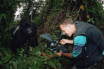 Camerman Bruce Davidson filming male silverback gorilla "Rafiki", Virunga NP Dem Rep of Congo,