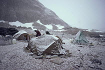 Film crew camp at Gentoo penguin colony Couveville Island, Antarctic Peninsula. On location for BBC series Life in the Freezer 1991