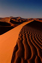 Sand dunes in the Namib-Naukluft NP, Namib desert, Namibia, Southern Africa