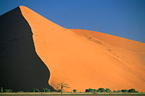 Giant sand dune, Sossus Vlei, Namib-Naukluft NP, Namib desert, Namibia.