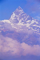 Fishtail mountain, Annapurna range, seen from Pokhara, Nepal.