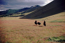 Riders and packhorse in grassy meadow. Hangay Mountains, Mongolia