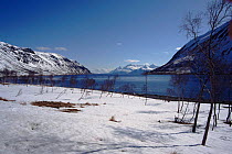 Fjord and sea in winter. Arnoy Island, Finnmark, Norway, Scandinavia, Europe