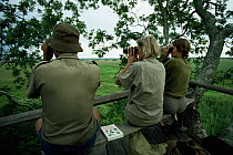 Naturalists viewing game from tree hide in swamp during rainy season, Kasamka NP, Zambia.