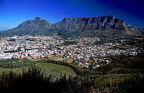 Cape Town and Table Mountain (summer), South Africa