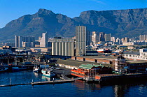 Cape Town waterfront, South Africa