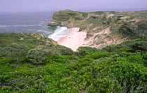 Cape Peninsula, Cape of Good Hope, South Africa