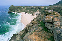Cape Peninsula, Cape of Good Hope, South Africa.
