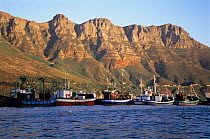 Fishing boats in Hout Bay, South Africa.