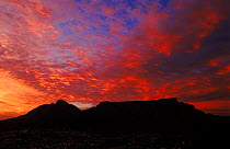 Table Mountain at dawn (summer), Cape Town, South Africa