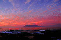 Table Mountain at dawn (summer), Cape Town, South Africa